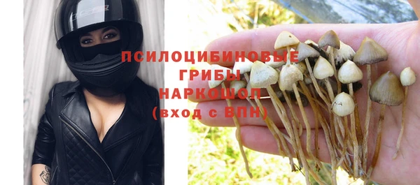 таблы Белокуриха