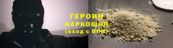 индика Кинешма