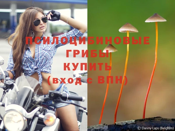 2c-b Белоозёрский