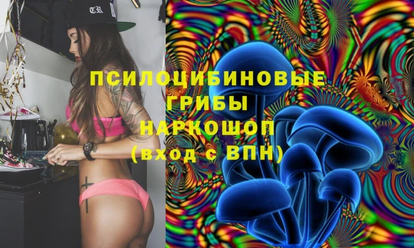 2c-b Белоозёрский